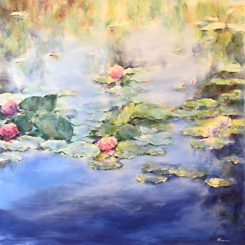 pink waterlilies in a tranquil lilypond